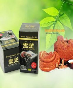 LINH CHI ĐỎ NHẬT BẢN (150 VIÊN/54.4GRAM)